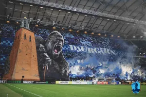 A small image of the Gorilla Tifo